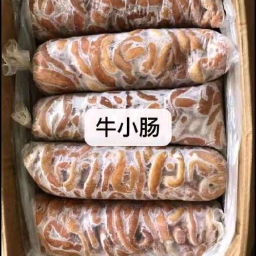 梧州飞水牛小肠牛圆肠，牛肠批发