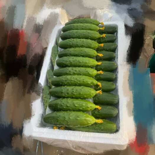 凌海市瓜条短棒型，色泽嫩绿，刺少皮薄