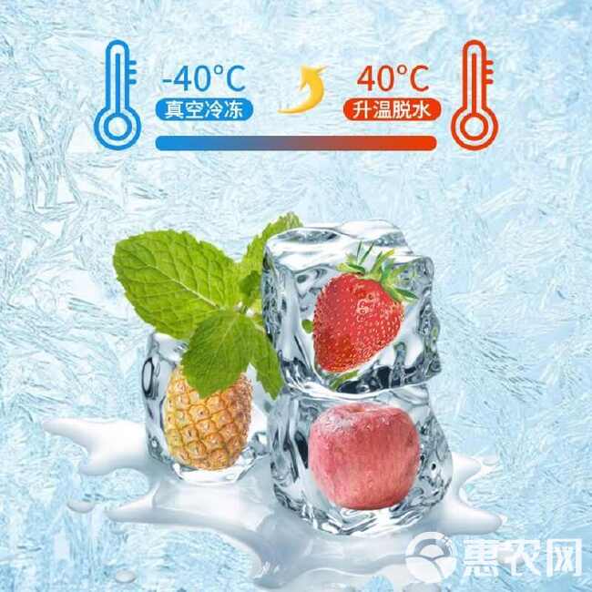 草莓干菠萝苹果干茶新鲜水果冻干网红学生同款春夏泡水冷热喝