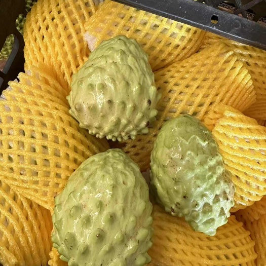 澄迈县凤梨释迦果
