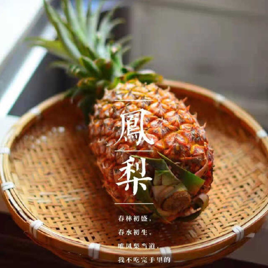 海南金钻凤梨~眼浅肉厚，果肉香甜爆汁，酸甜比，让凤梨风味更足