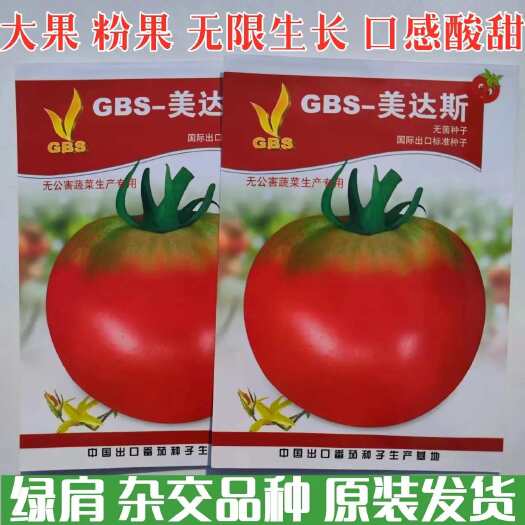 沭阳县美达斯西红柿种子粉红早熟大绿肩沙瓤无菌高产抗病耐寒蕃茄种籽