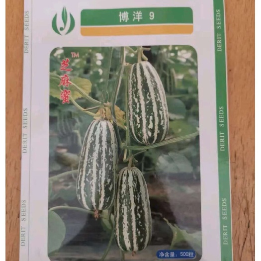寿光市甜瓜种子博洋61/博洋9/羊角蜜/绿宝。含糖度高额13-15