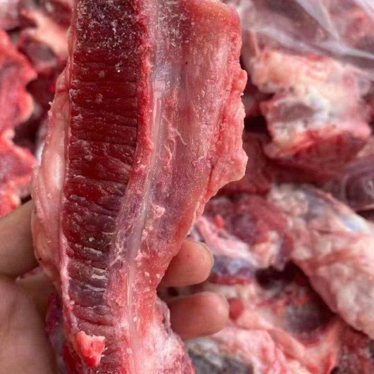 牛鞭根肉，适合炖锅，烧烤等，全部筋和肉，价格低欢迎询价。