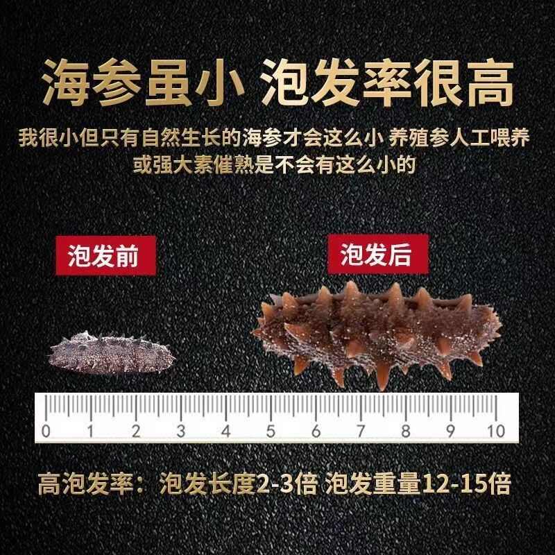 厂家批发淡干海参鲜食刺参辽参高刺海参 肉质饱满淡干小海参