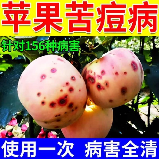 栾川县苹果树苦痘病苹果专用菌剂炭疽轮纹病褐斑枝枯病黑星白粉病防虫
