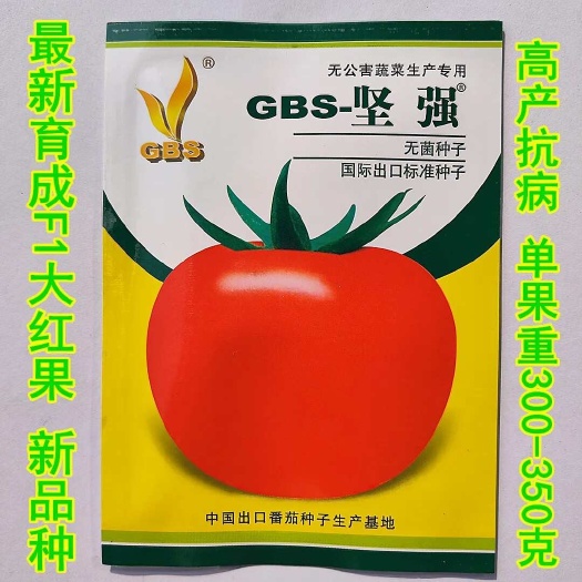 沭阳县西红柿种子天地坚强大红果蕃茄早熟无菌高产抗病优质杂交蕃茄种籽