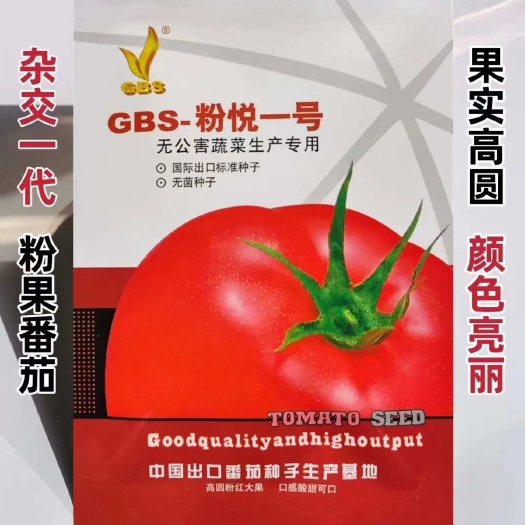 粉悦一号西红柿种子粉红早熟大果沙瓤无菌抗病耐寒蕃茄蔬菜种籽
