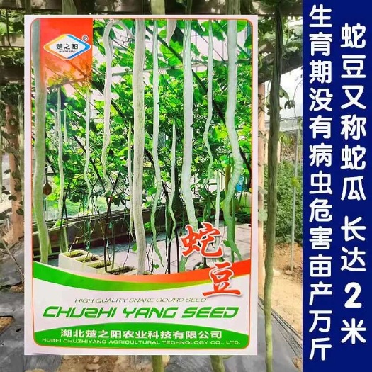 蛇豆种子蛇形长豆角蛇瓜特大特长春夏秋冬季四季播特色蔬菜种籽