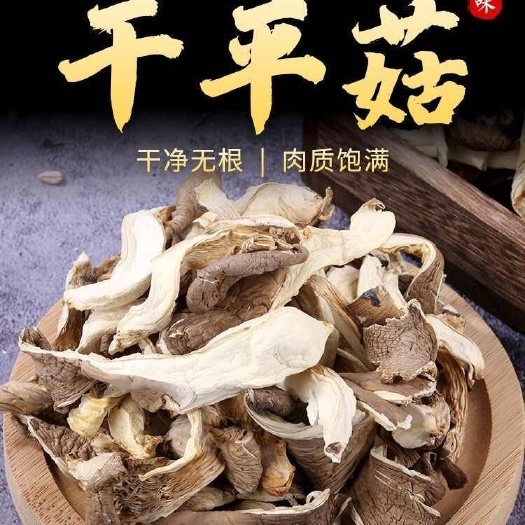 昆明平菇片干货农家新货批发特产真姬菇凤尾菇蘑菇煮汤材料油炸美食