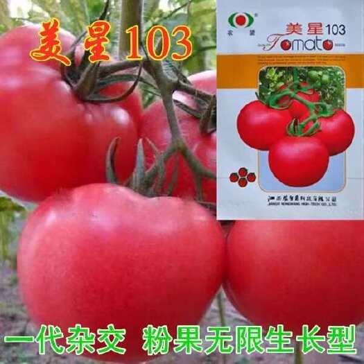 沭阳县美星103西红柿种子粉红大果沙瓤无菌高产抗病耐寒蕃茄台蔬菜种