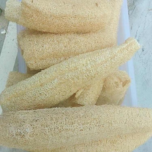 乳源县丝瓜络