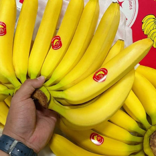 上海主要经营：菲律宾精品二级蕉、净重27斤，大量现货、可发全国。