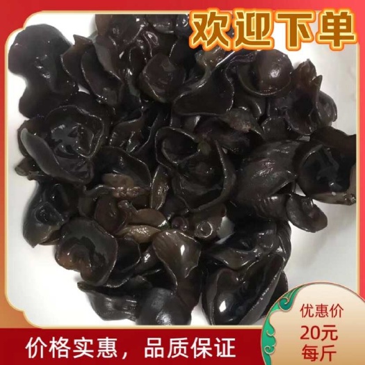 东北无根秋木耳，口感筋道，久泡不烂，承接电商