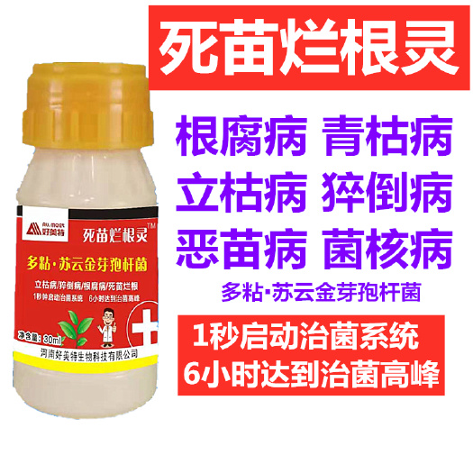 栾川县根腐病立枯克星快克烂根青枯生根壮苗茎腐基腐病专用生物菌剂