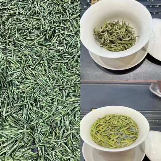  舒城小兰花