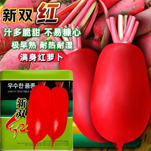 宿迁新双红萝卜种子极早熟耐热红萝卜种子 双红一号红萝卜种子