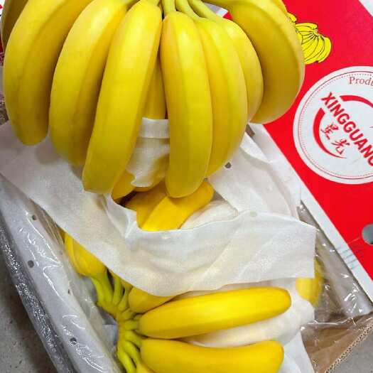 上海主要经营：菲律宾精品二级蕉，净重27斤，保质保量，大量现货。