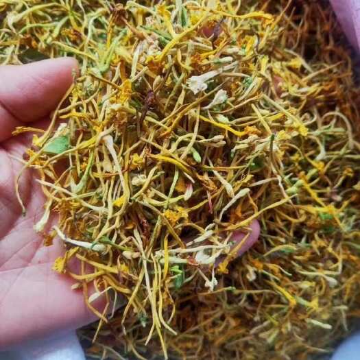 漳州金银花山银花无绒毛款金银花降
