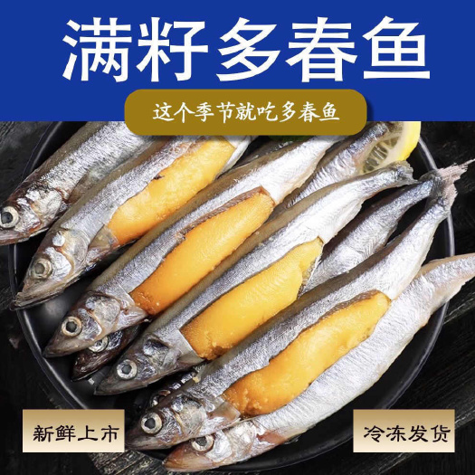 连云港多春鱼满籽新鲜冷冻多籽鱼带籽鲜活烧烤海鲜油炸商用海鱼食材鱼类