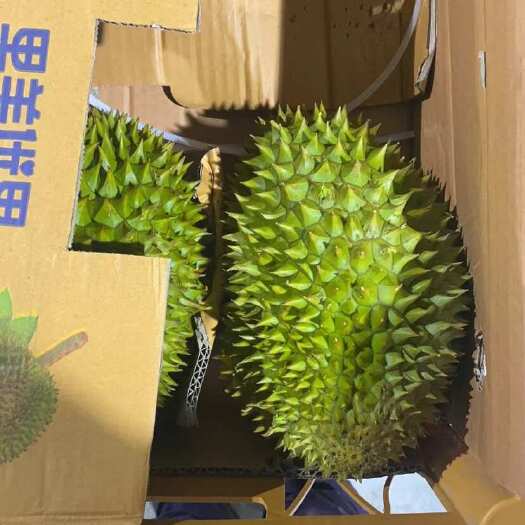凭祥市干尧