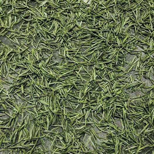  绿茶
