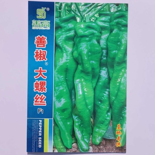 沭阳县善椒大螺丝辣椒种子早中熟大果牛角螺丝椒杂交一代辣味浓大田种孑