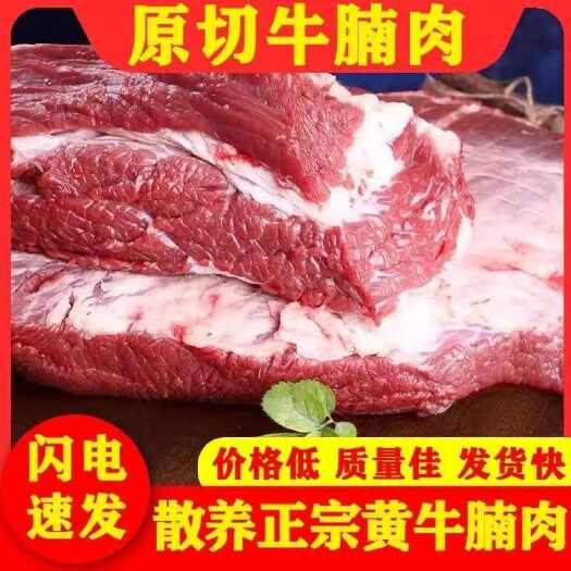 【鲁西黄牛】原切牛肋条国产鲁西黄牛新鲜冷冻牛肉牛腩条烤肉生鲜