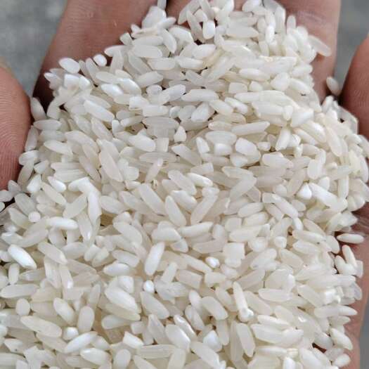 武汉老杂交米。抛光大碎米，酒米