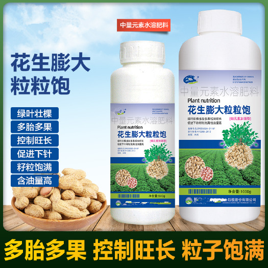 郑州花生膨大粒粒饱花生粒粒饱满花生增产花生专用肥料