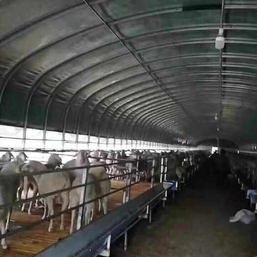 沭阳县出售保温大棚材料上门定做保温大棚