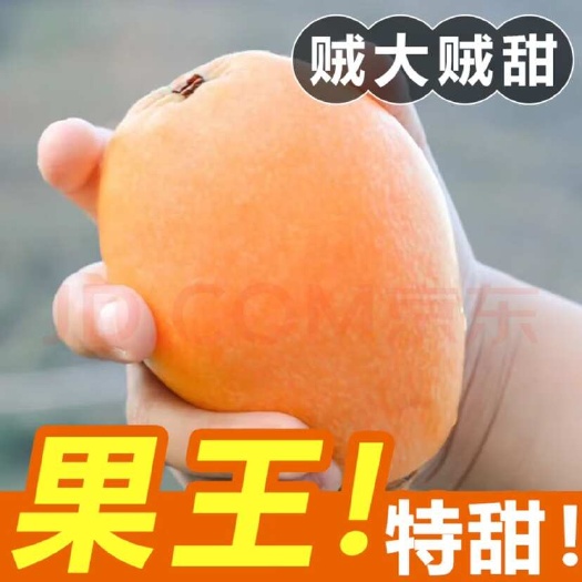 屏山县大五星枇杷高山枇杷