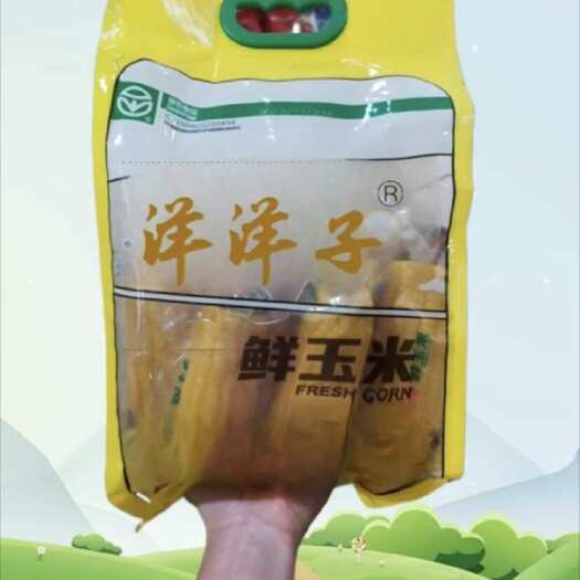 阿荣旗家庭装玉米1.8千克 超市直供