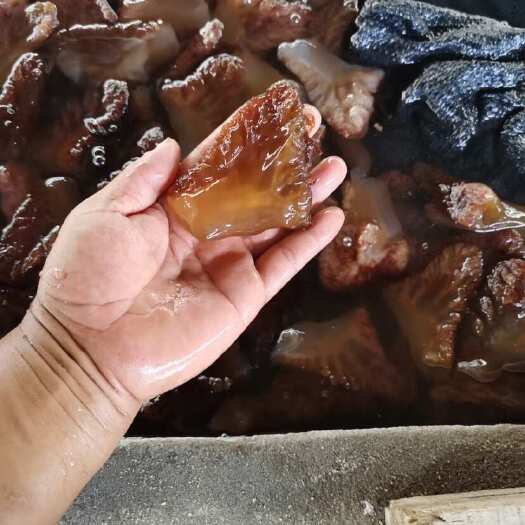 面蛰头沙蜇头面蛰皮沙蜇皮