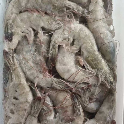 济南欧玛莎大板3040 批发一件代发