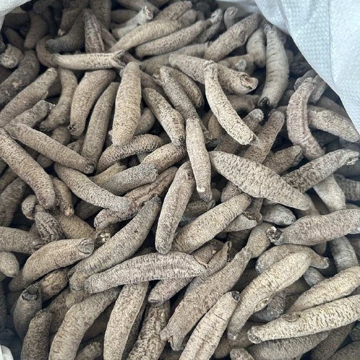 赤虫海参 40头海参干货批发 足干免刷皮 口感好 发头大