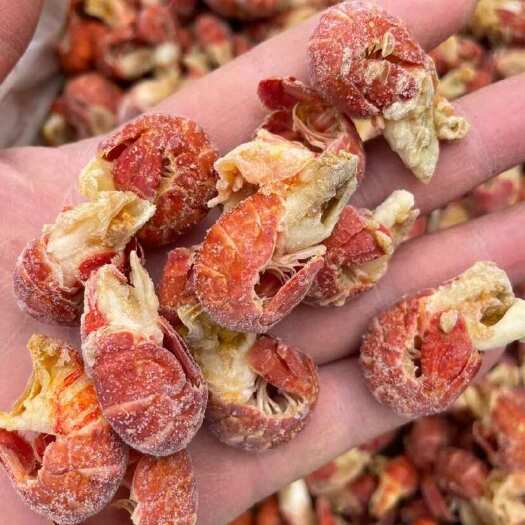 连云港无冰衣龙虾尾现剥活虾龙虾虾球小龙虾鲜活速冻海鲜水产批发