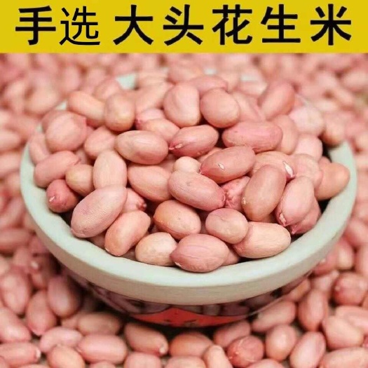  花生种子