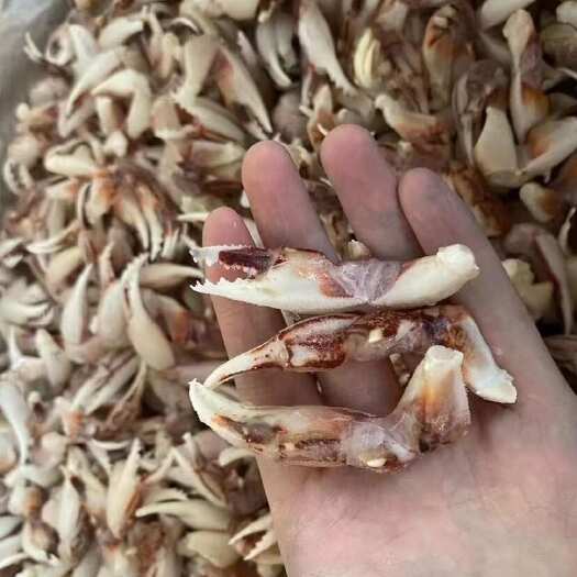 连云港沙蟹钳新鲜冷冻醉蟹钳麻辣蟹钳捞汁小海鲜梭蟹钳商用批发