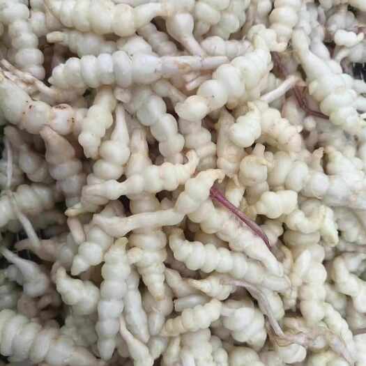 临沂宝塔菜（腌制半成品）