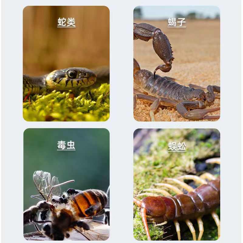 雄黄驱蛇粉强力长效防蛇户外野外驱蛇的家用庭院室内