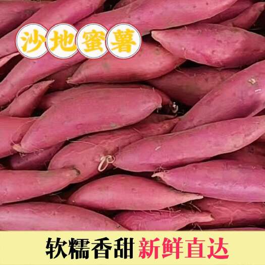 沙地蜜薯
