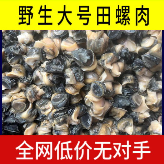 【天天新货】微山湖田螺螺狮肉泥螺肉无泥无沙田螺肉