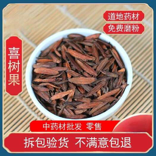 亳州喜树果 批发无硫喜树果 产地货源 优质喜树果 量大价优