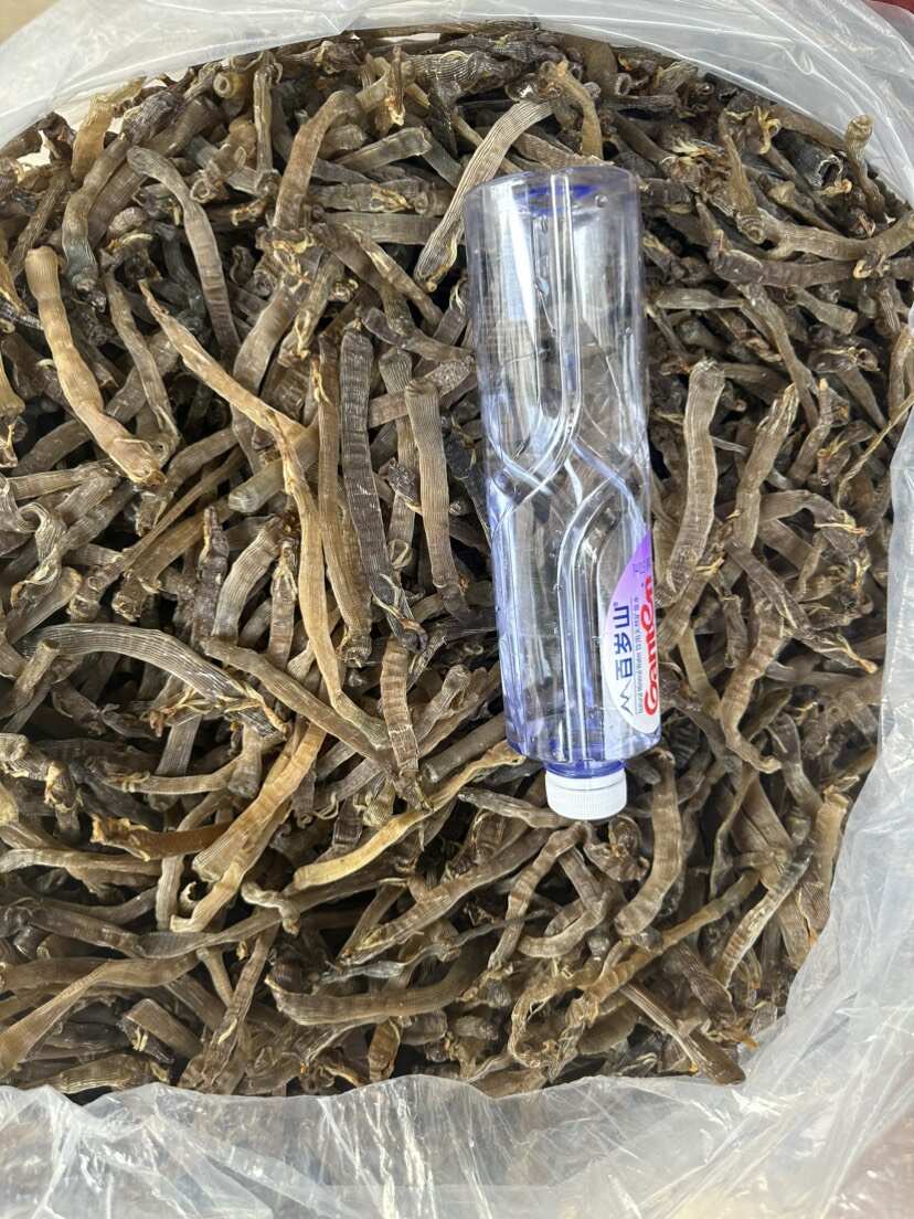 北海特产沙虫灰沙虫无沙无盐