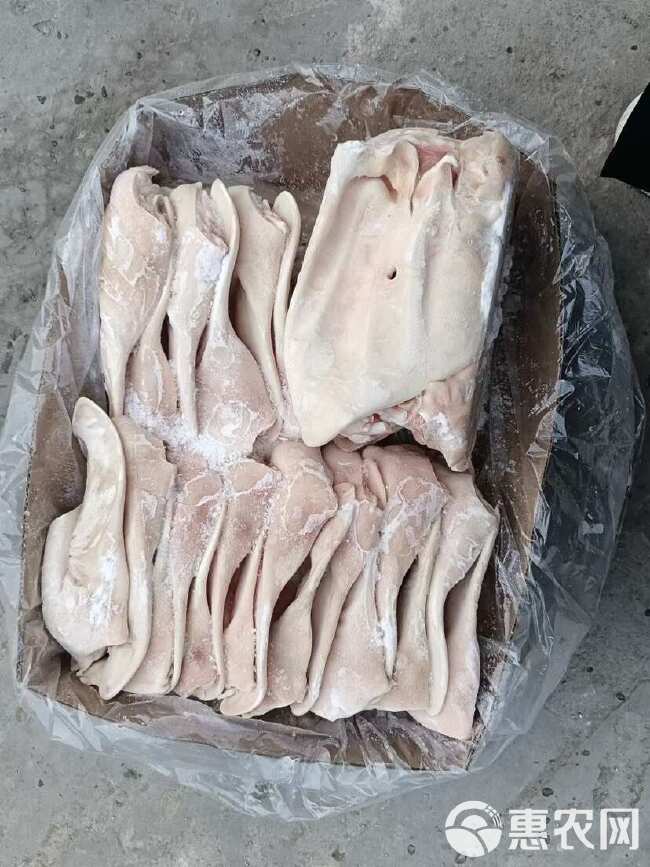 国产猪耳朵猪耳大量批发猪耳小根猪耳耳片熟食店28-33片