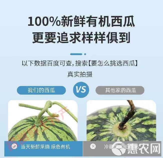 现摘麒麟超甜薄皮8424西瓜应季批发整箱无籽有籽新鲜