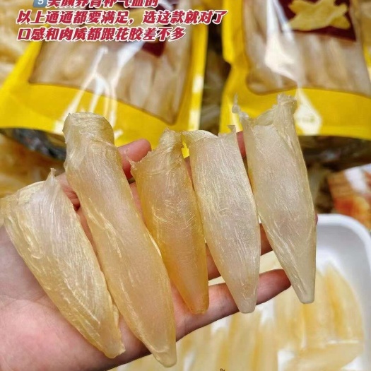 广州深海野生咸水花胶筒
