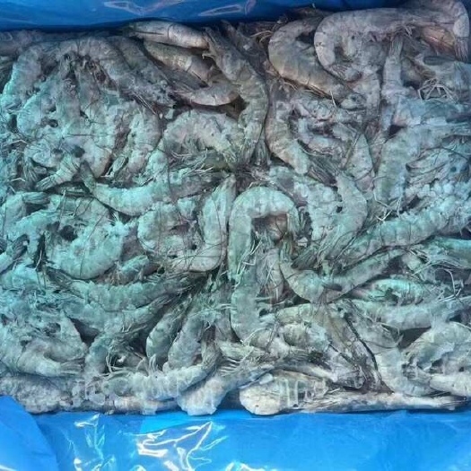 济南桑塔盐冻4050 批发一件代发