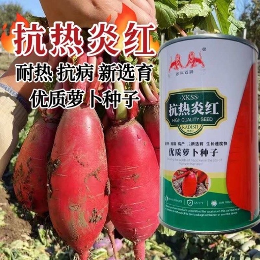 淮安抗热炎红萝卜种子耐热优质红皮白肉萝卜种籽生长速度快夏秋季萝卜